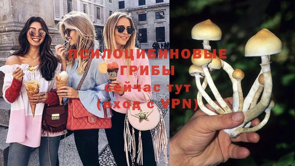 прущие крисы Нея