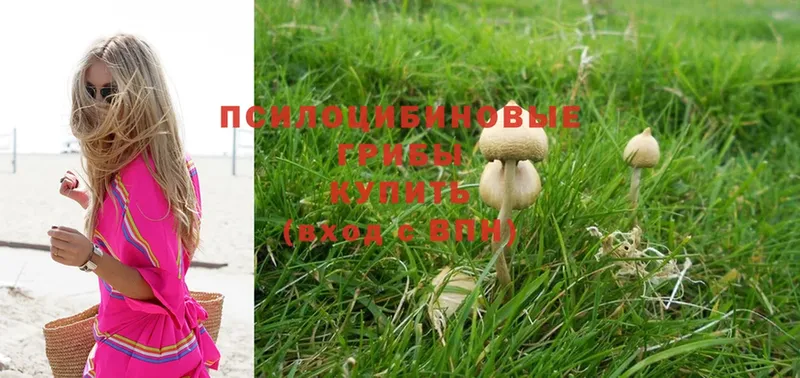 Псилоцибиновые грибы MAGIC MUSHROOMS  Елабуга 