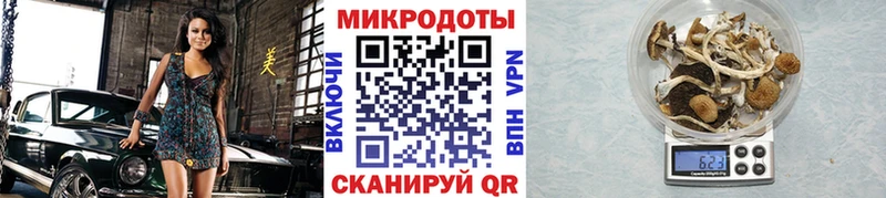 Псилоцибиновые грибы мицелий  OMG как зайти  Елабуга 