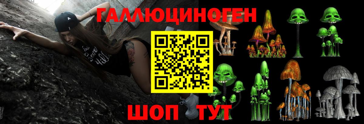 где купить наркоту  Елабуга  Галлюциногенные грибы Magic Shrooms 